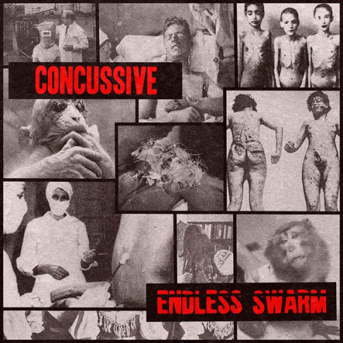 Endless Swarm : Concussive - Endless Swarm